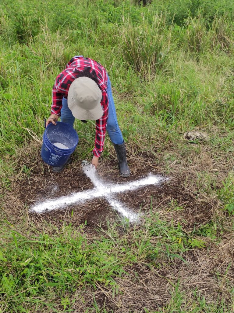 IMG 20230520 133153 1 768x1024