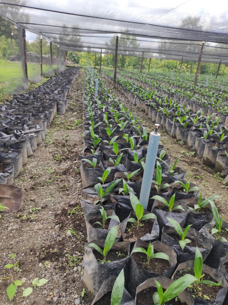 IMG 20240214 120736 766x1024